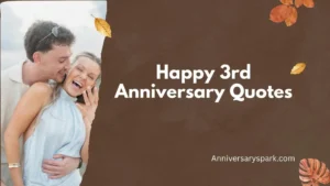Happy 3rd Anniversary Quotes
