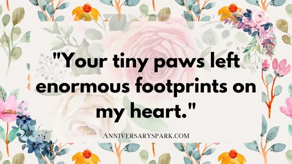 1 Year Pet Death Anniversary Quotes