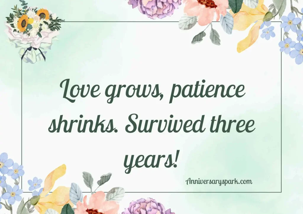 Short and Funny 3 Year Anniversary Quotes